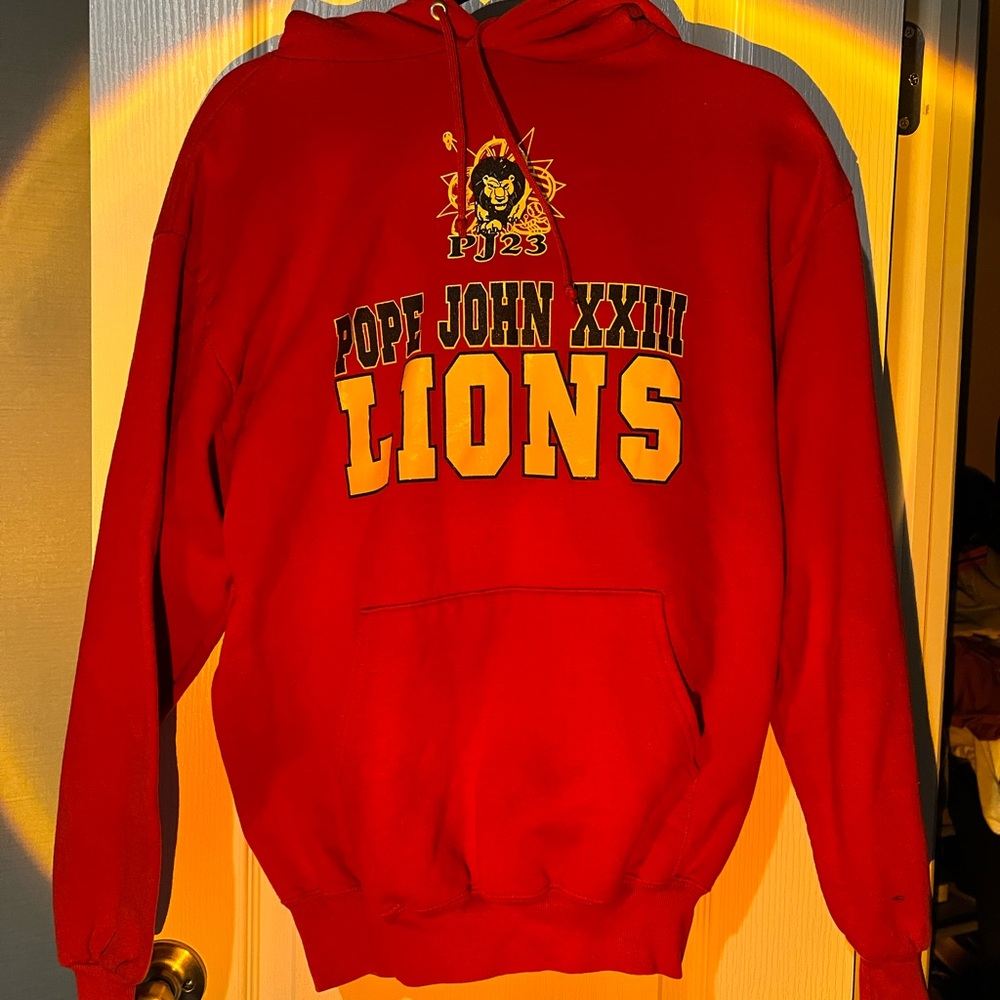 Vintage Lions Hoodie